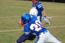 Enlarge photo 54