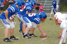Enlarge photo 62