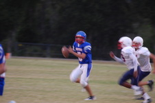 Enlarge photo 116
