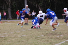 Enlarge photo 141
