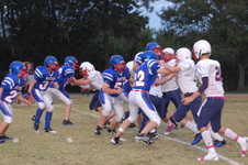 Enlarge photo 146