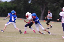 Enlarge photo 153