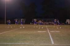 Enlarge photo 224