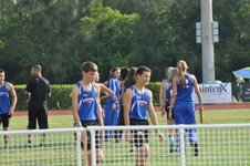 Enlarge photo 181