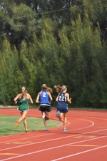 Enlarge photo 202