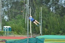 Enlarge photo 238