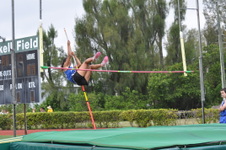 Enlarge photo 310