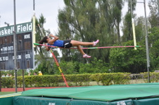 Enlarge photo 312