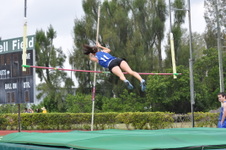 Enlarge photo 314