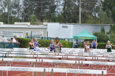 Enlarge photo 378