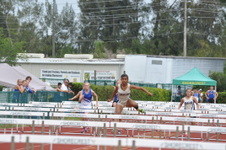 Enlarge photo 376