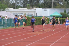 Enlarge photo 381