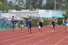 Enlarge photo 384