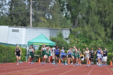 Enlarge photo 393