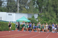 Enlarge photo 394