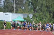 Enlarge photo 396