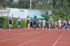 Enlarge photo 397