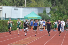 Enlarge photo 418