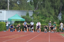 Enlarge photo 445