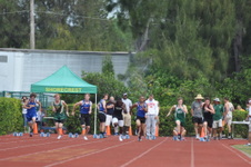 Enlarge photo 451