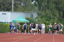 Enlarge photo 452