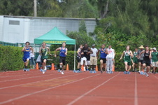 Enlarge photo 453