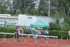 Enlarge photo 482