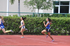 Enlarge photo 511