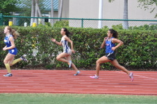 Enlarge photo 513