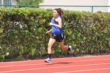 Enlarge photo 525