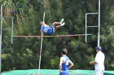 Enlarge photo 528