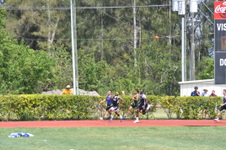 Enlarge photo 529