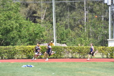 Enlarge photo 530