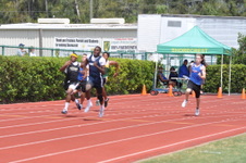 Enlarge photo 533