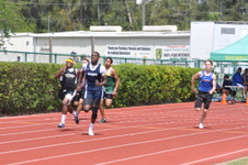 Enlarge photo 534