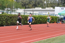 Enlarge photo 545