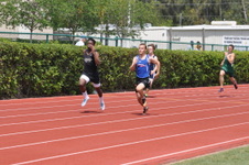 Enlarge photo 544