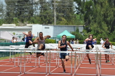Enlarge photo 590