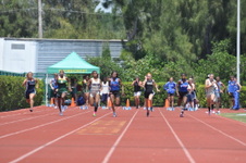 Enlarge photo 597