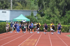 Enlarge photo 612