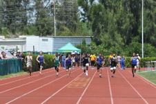 Enlarge photo 614