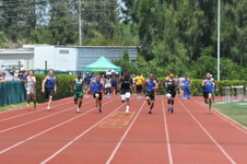 Enlarge photo 616