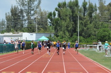 Enlarge photo 617