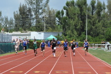 Enlarge photo 621