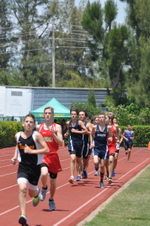 Enlarge photo 642
