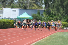 Enlarge photo 668