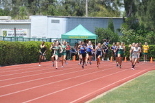 Enlarge photo 671