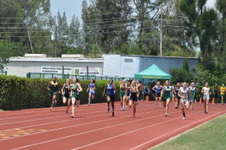 Enlarge photo 674