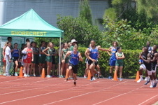 Enlarge photo 698
