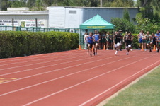 Enlarge photo 701